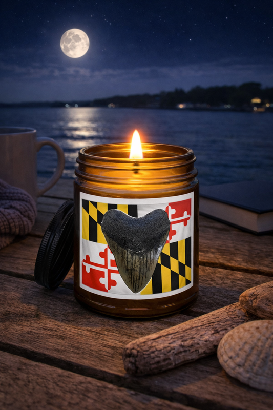 Maryland Flag Candle - Megalodon