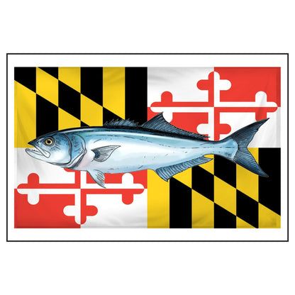 Bluefish MD Flag Scented Soy Candles with Black Lid, (4 and 9oz)