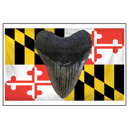 Meglodon MD Flag Scented Soy Candles with Black Lid, (4 and 9oz)