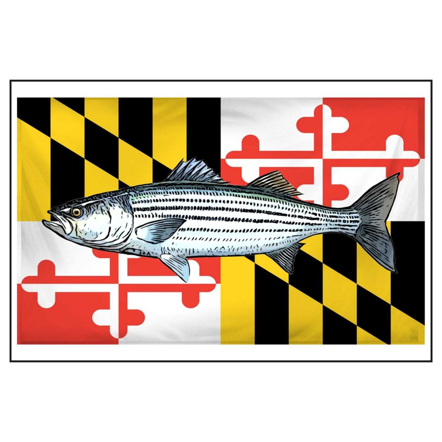 Rockfish MD Flag Scented Soy Candles with Black Lid, (4 and 9oz)