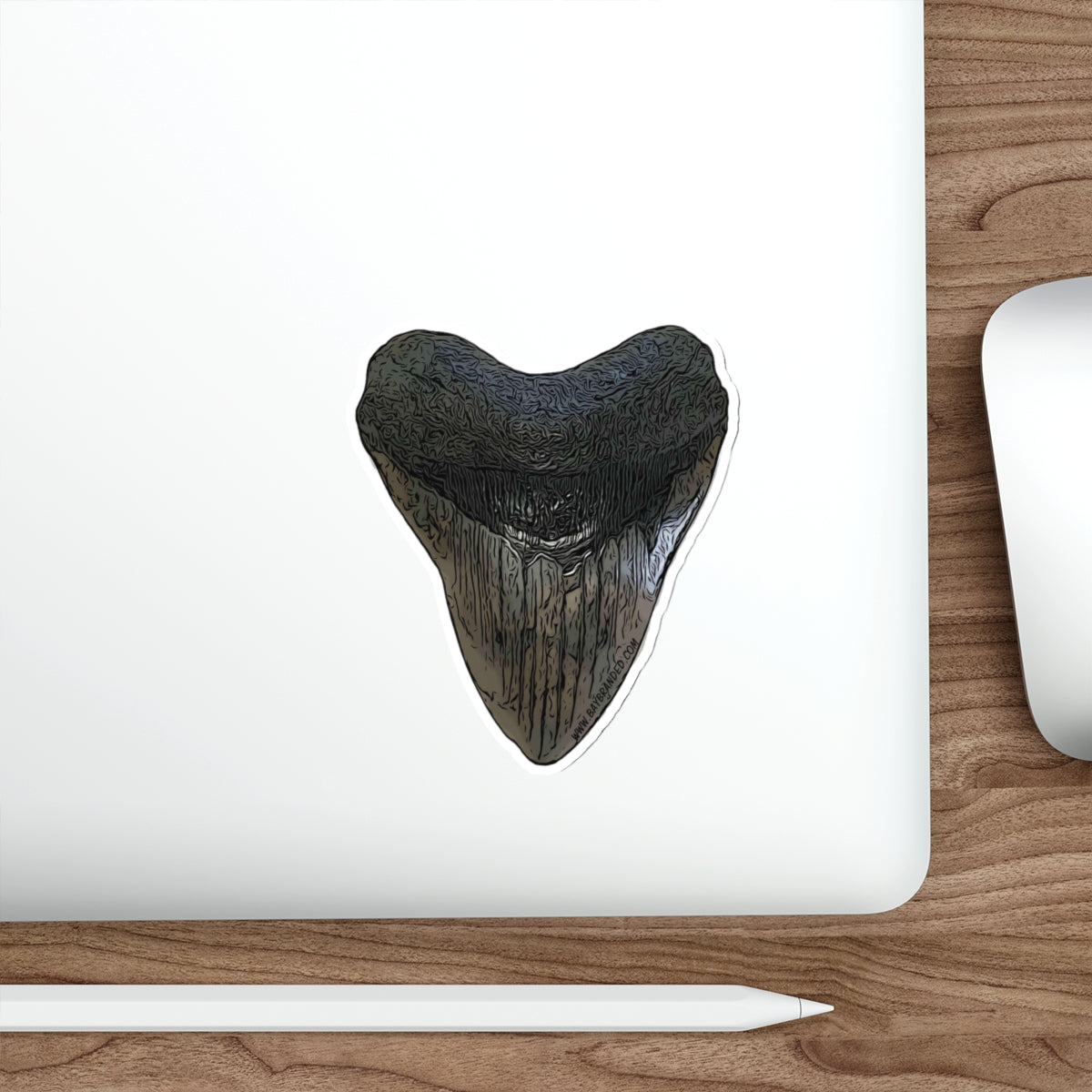 Bay Branded Megalodon Tooth Sticker - Original