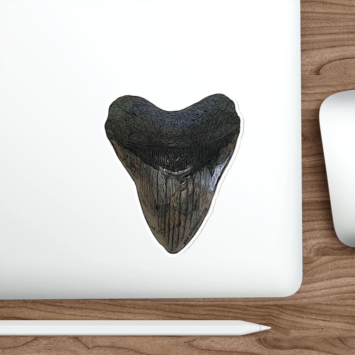 Bay Branded Megalodon Tooth Sticker - Original