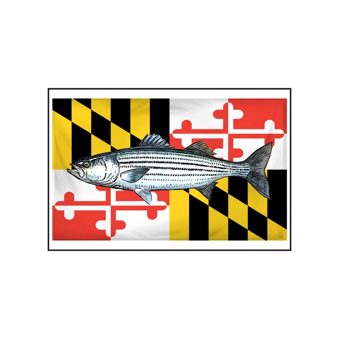 Rockfish MD Flag Scented Soy Candles with Black Lid, (4 and 9oz)