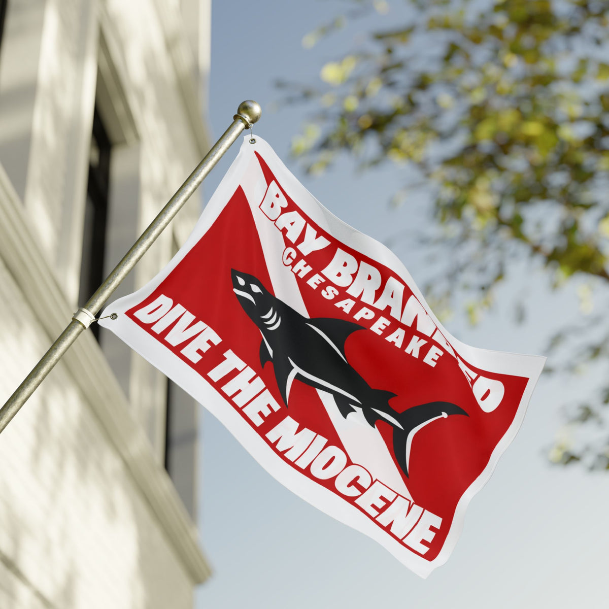 Dive the Miocene Rectangle Flag