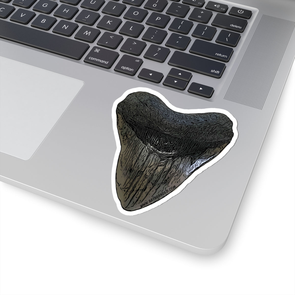 Megalodon Sticker