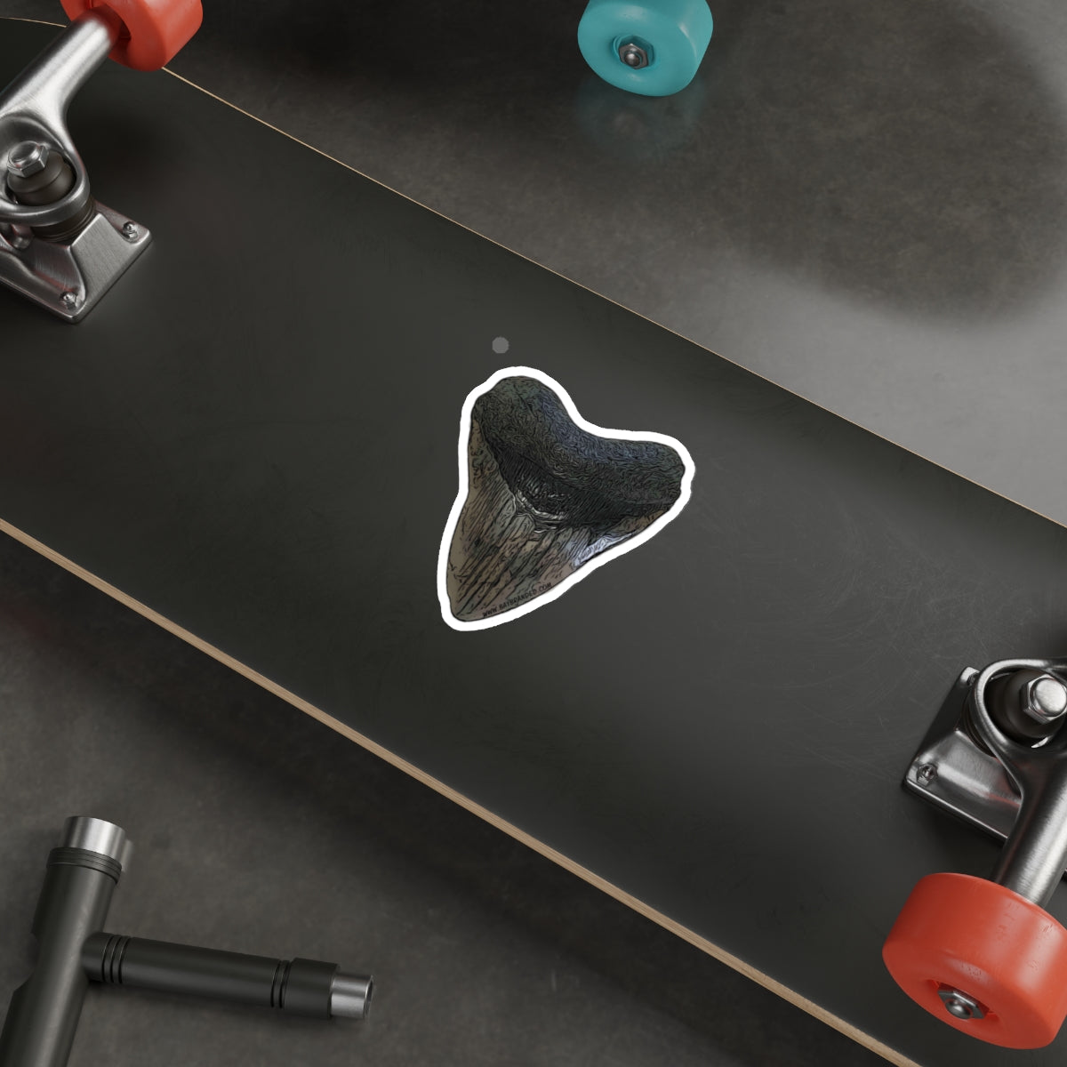 Bay Branded Megalodon Tooth Sticker - Original