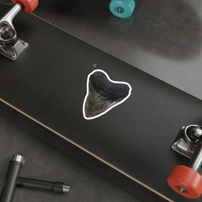 Bay Branded Megalodon Tooth Sticker - Original