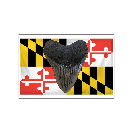 Meglodon MD Flag Scented Soy Candles with Black Lid, (4 and 9oz)