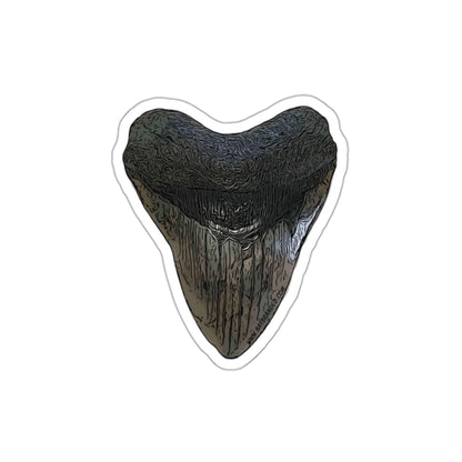 Bay Branded Megalodon Tooth Sticker - Original