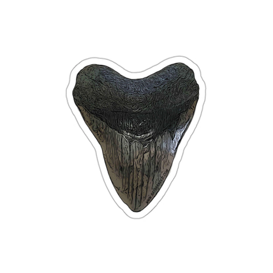 Bay Branded Megalodon Tooth Sticker - Original