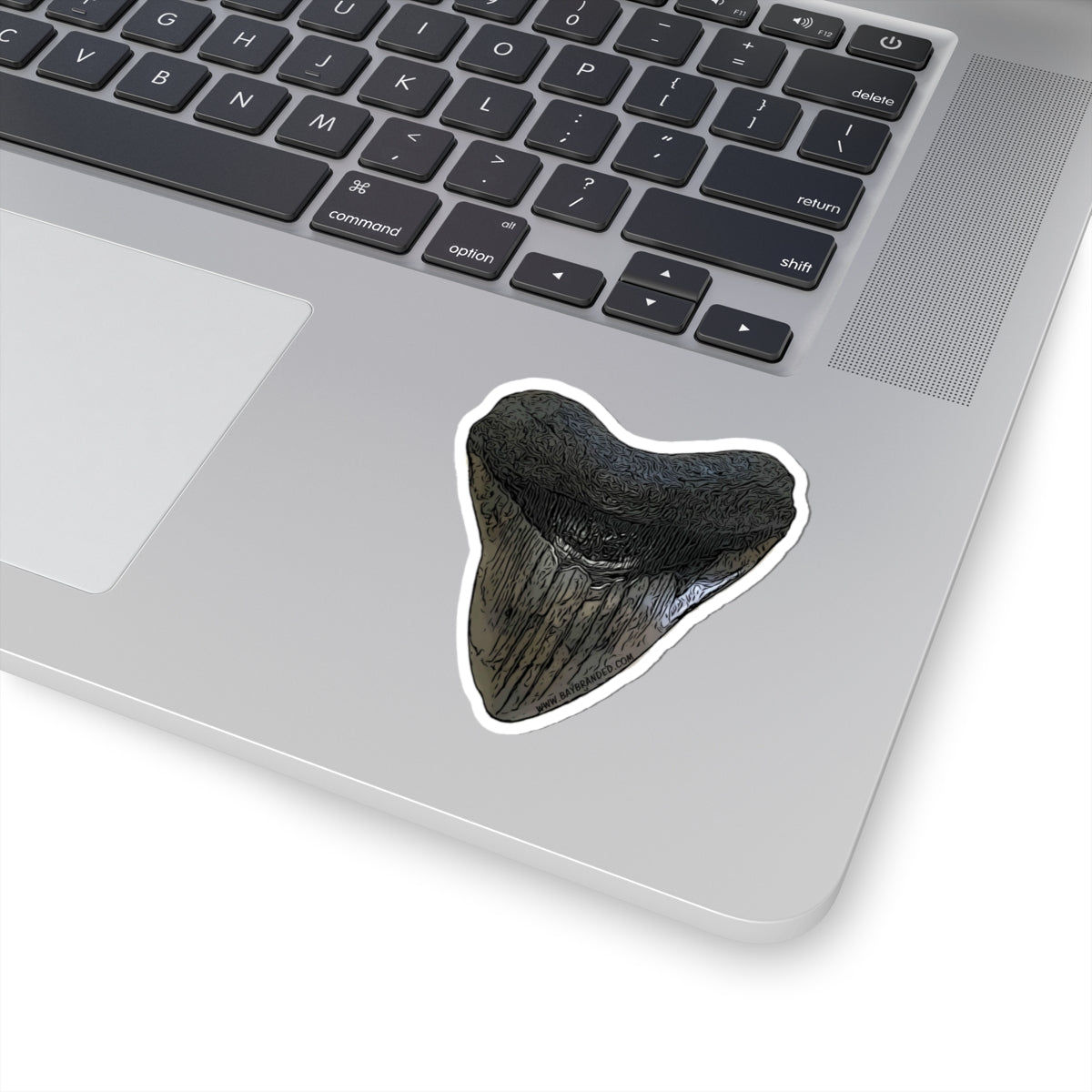Megalodon Sticker