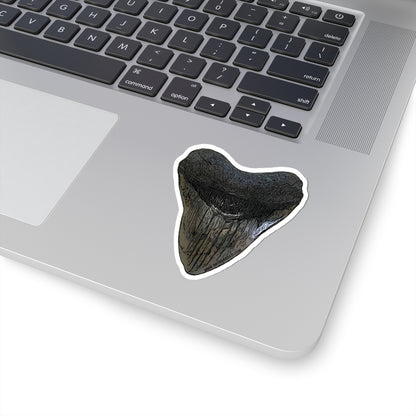 Megalodon Sticker