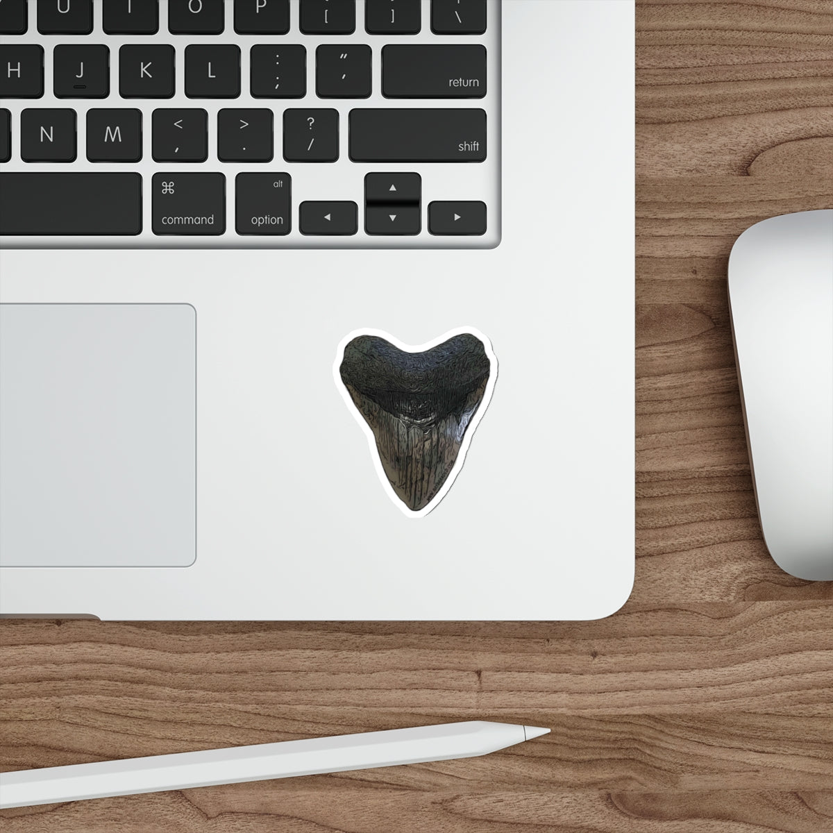 Bay Branded Megalodon Tooth Sticker - Original