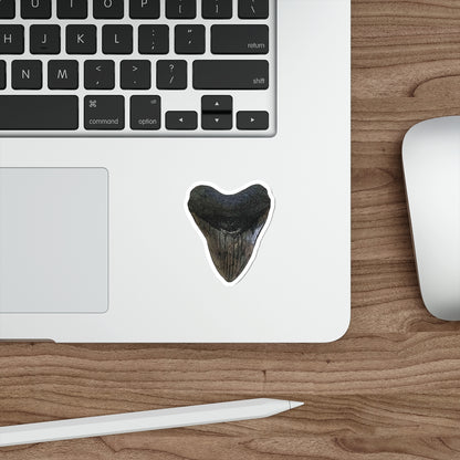 Bay Branded Megalodon Tooth Sticker - Original