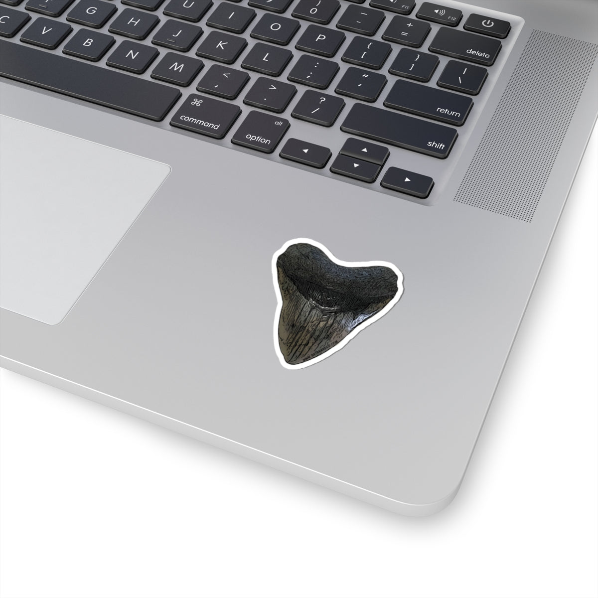 Megalodon Sticker