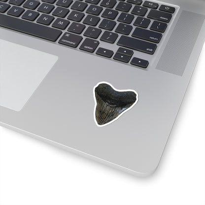 Megalodon Sticker