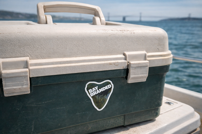 Bay Branded Megalodon Tooth Sticker - White