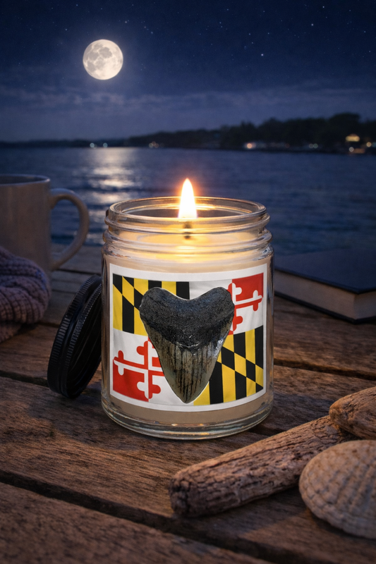 Maryland Flag Candle - Megalodon