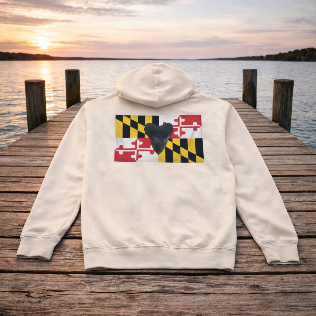 Lightweight Bay Branded Hoodie - MD Flag Megalodon
