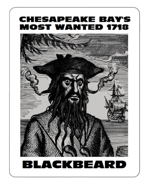 Blackbeard Sticker