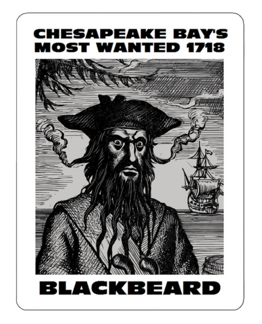 Blackbeard Sticker