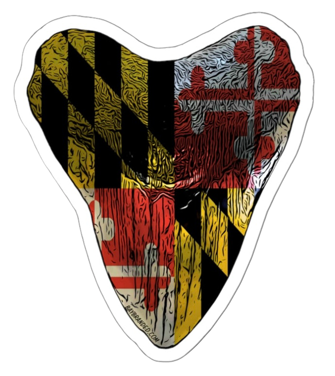 Bay Branded Megalodon Tooth Sticker - Maryland Flag